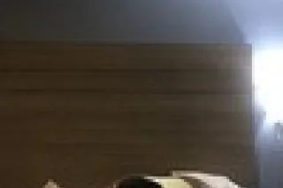 APPLE THEE BBW💦🔥 let me be your valentine❤🥰💦NEW BRUNSWICK - Image 3